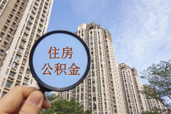 高平离职后公司不给转公积金怎么办（离职后公司不给转社保怎么办）